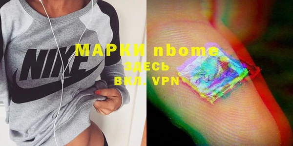 прущие грибы Алзамай