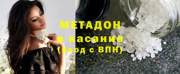 прущие грибы Алзамай